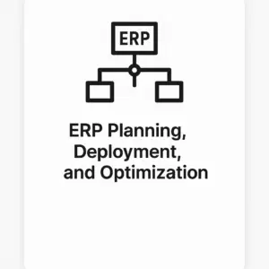 ERP Planning, Deployment, and Optimization