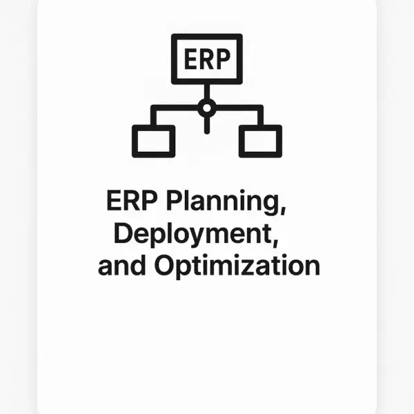ERP Planning, Deployment, and Optimization