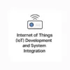 Internet of Things (IoT) Development and System Integration