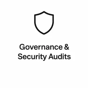 Governance & Security Audits