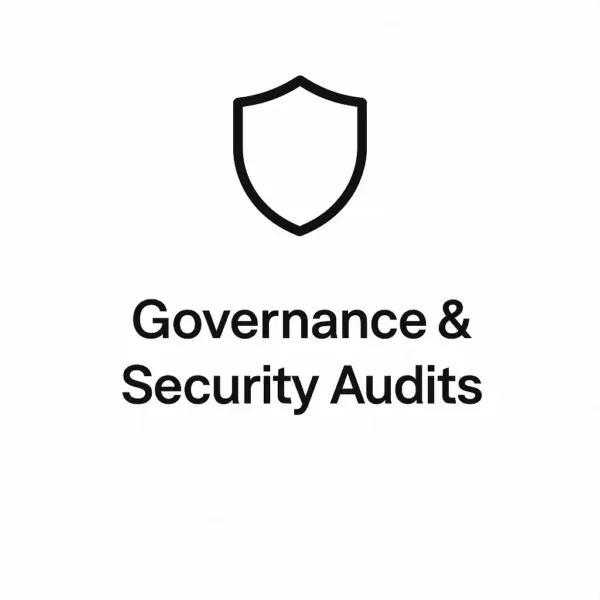 Governance & Security Audits